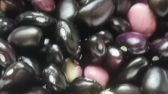Closeup of dried and shiny black turtle beans. It helps in digestion, cancer treatment. It contains vitamin B6, calcium, magnesium.