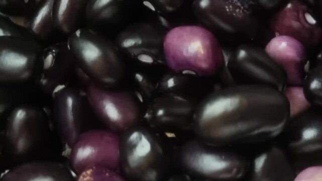 Black kidney beans also called balack turtle beans used to eat in meal. Also used in treatment diet of cancer, diabetics, heart disease. It contains vitamin B6, calcium, magnesium. Clockwise zoom shot