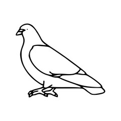 dove outline drawing