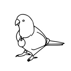 lovebird outline drawing