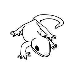 outline drawing of a lizard