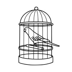 bird in cage vector illustration