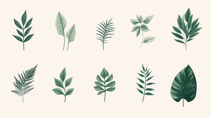 Green leaves collection; botanical illustration; nature background; design elements