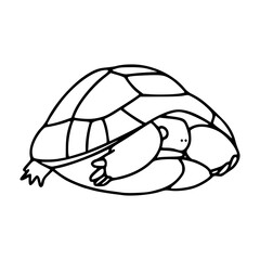 turtle hiding in shell line art