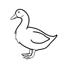 duck side view graphic