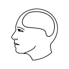 outline drawing of head and brain