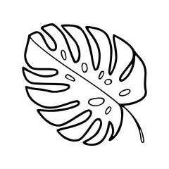 tropical leaf icon vector: monstera