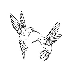 two hummingbirds outline vector