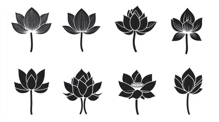 Eight lotus flower silhouettes, various stages, white background, design element