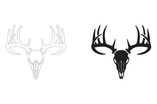 Vector Illustration of a Deer Skull with Antlers in Black and White.