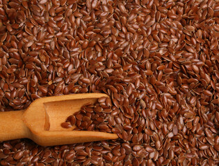 spoon with flax seeds
