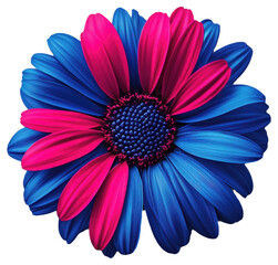 PNG Vibrant blue and pink flower
