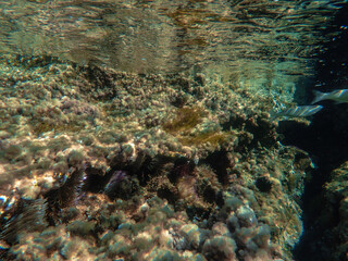 Ocean blue underwater with sunrays, Underwater Sea Deep Water Abstract Sunshine, sea wave, clean waters in summer time, Natural underwater seascape, sand on ocean floor and water surface with sunlight