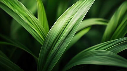 Obraz premium Vibrant green leaf texture in close-up, showcasing nature's organic beauty and intricate details.