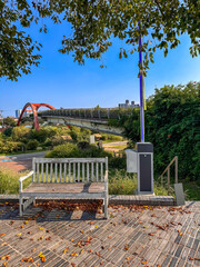Wooden Bench in a Green Park with Autumn Leaves
