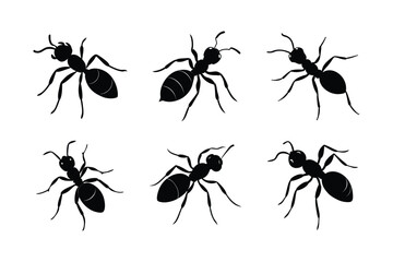 ant crawling vector silhouette