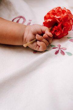 baby chubby hands holding flower