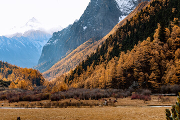 autumn in the mountains in Western Sichuan of China