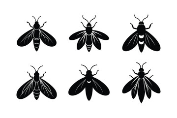 firefly glowing vector silhouette design