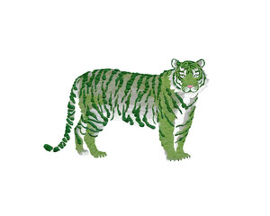 Obraz premium World Wildlife day Concept Nature reserve conserve Wildlife reserve tiger. Global warming destroying Ecology or Human can protecting the wild and wild animals. Forest shape of tiger -white background