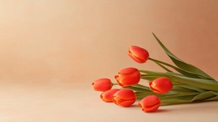 Fresh and Vibrant Orange Tulips on a Soft Neutral Background for Elegant Floral Arrangements or Spring Celebrations in Home Decor and Event Planning