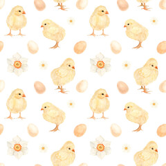 Delicate and festive watercolor Easter seamless patten with chickens, eggs, daffodils. Hand drawn. White Background. 