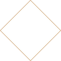 Minimalist aesthetic linear frame