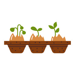 Small plant sprouts grow in eggshells. Seedlings in the egg tray. Reuse and recycling. Gardening. Vector illustration in flat style, isolated on a white background