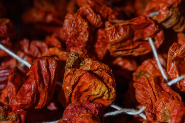 Dried red chili peppers hanging in a traditional marketplace showcasing vibrant colors and rich textures