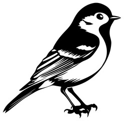 Bird vector illustration simple design
