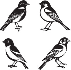Bird vector set sparrow bird illustration on black and white