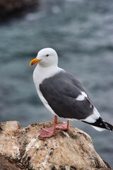 Ensenada, Mexico