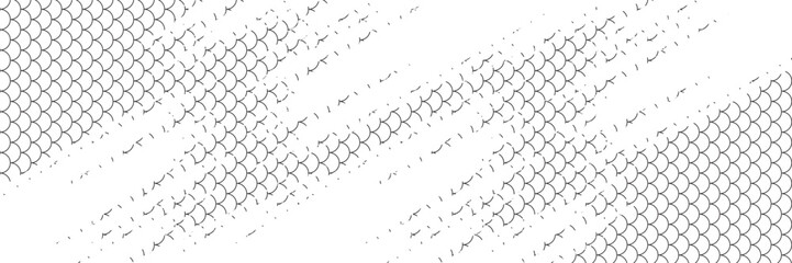 Fototapeta premium Black snake skin pattern isolated on white background eps 10
