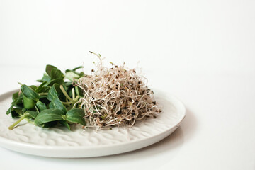 Sunflower and alfalfa sprouts on a plate on a white background. Microgreens, Healthy eating, salad greens, detox, vegetarianism, vegetarian dishes.