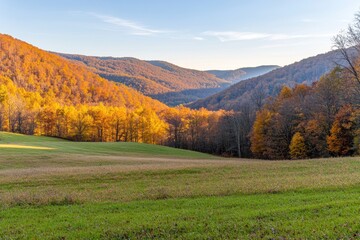 Scenic Autumn Landscape with Vibrant Colors and Rolling Hills