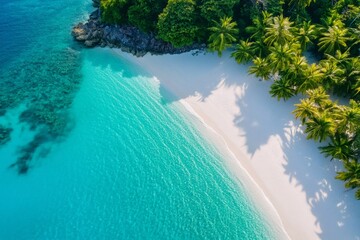 Obraz premium Tropical white sand beach meeting vibrant turquoise ocean water in idyllic island paradise