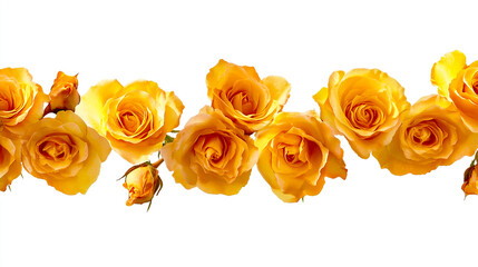 A horizontal border made of yellow roses on a white background, with the written in next to each rose