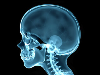 Ultra-Detailed 3D X-ray of a Human Skull in 4K Resolution