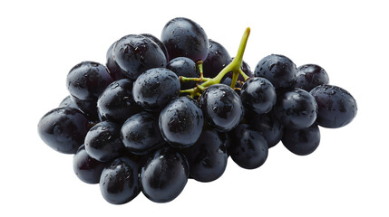 Fototapeta premium Sweet black grapes, very beautiful seasonal fruit, black grapes with a green stem, juicy and large black grapes for wine.