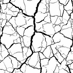 Abstract black and white cracked surface pattern