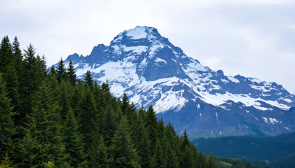 Fototapeta premium Majestic Snow-Capped Mountain Peak Soaring Above Evergreen Forest