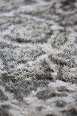 Textured Fur: A close-up view reveals the intricate texture and patterns of a soft, luxurious fur, creating a sense of warmth and opulence.