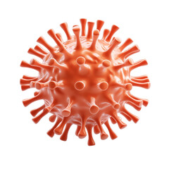 Fototapeta premium 3D icon of Stylocoronella riedli isolated on transparency background