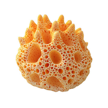 3D icon of Cliona celata (Orange-spot sponge) isolated on transparency background