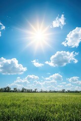 Obraz premium Bright Sun Over Vibrant Green Field Under Clear Blue Sky