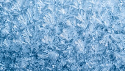 an icy, abstract design showcasing delicate frost crystals in shades of blue and white, creating a beautiful natural pattern