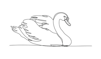 Mute swan,  continuous one line drawing, vector design