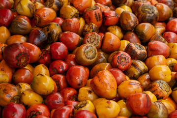 Close-up of fresh chontaduros, the fruits of the chontaduro palm. These oval-shaped fruits have a vibrant orange-yellow color that highlights their natural tones. Whole chontaduros.