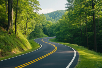 Fototapeta premium Curving road through lush green forest with yellow road lines in the daylight