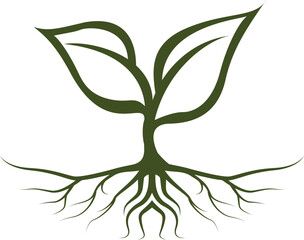 Root Of The Tree logo illustration. Vector silhouette of a tree,Abstract vibrant tree logo design, root vector - Tree of life logo design inspiration